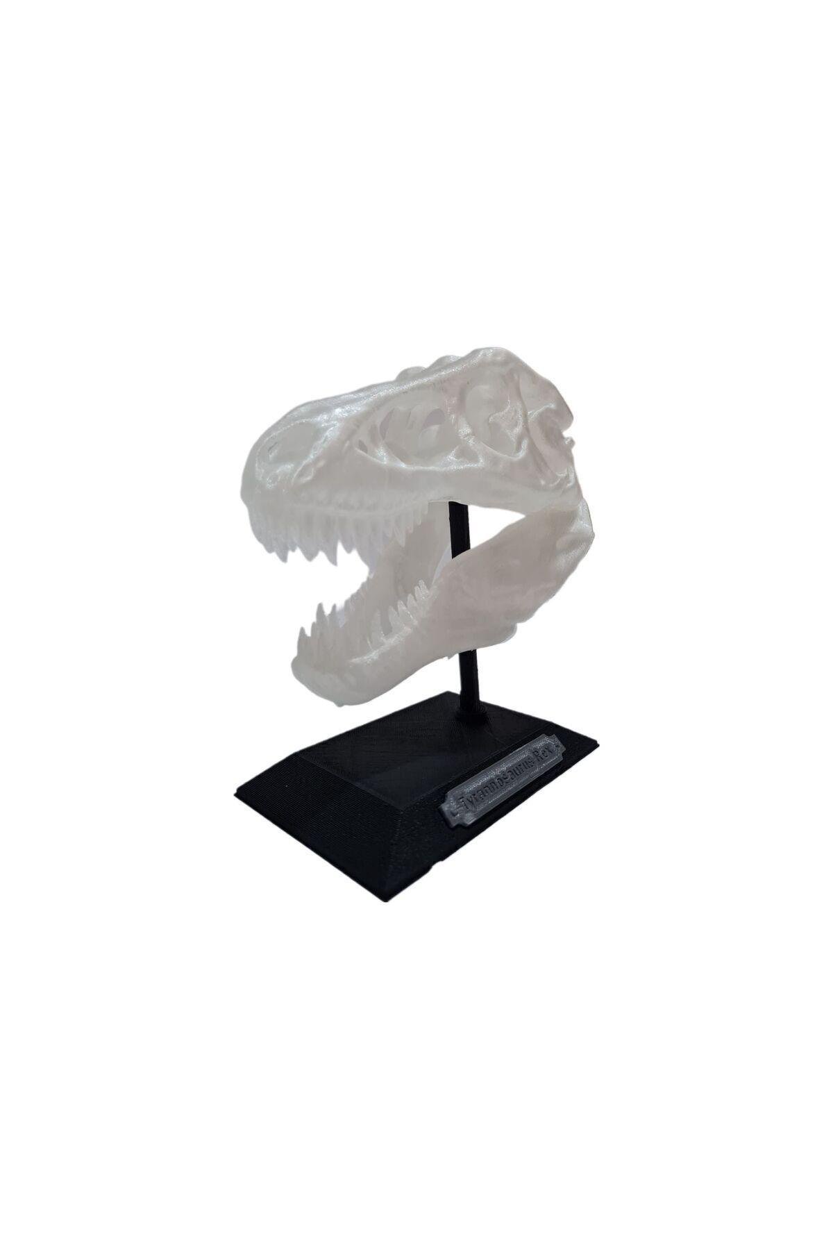 Gece Parlayan Fosforlu T-rex Dinozor Iskeleti Kafatası Standı
