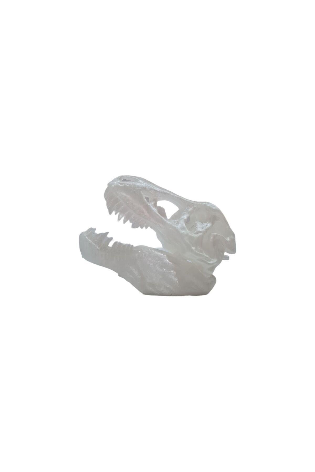 Gece Parlayan Fosforlu T-rex Dinozor Iskeleti Kafatası Standı