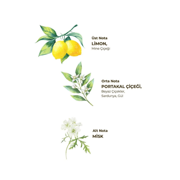 Eyüp Sabri Tuncer Verbena & Zinde Limon Kolonyası 400 ml - Pet Şişe