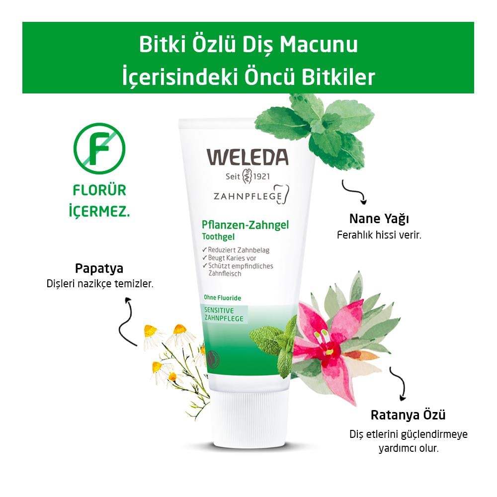 Weleda Doğal Bitki Özleri İçeren Organik Diş Macunu - 75ml ; Diş Temizliği ve Diş Eti Bakımıda Doğal Çözüm