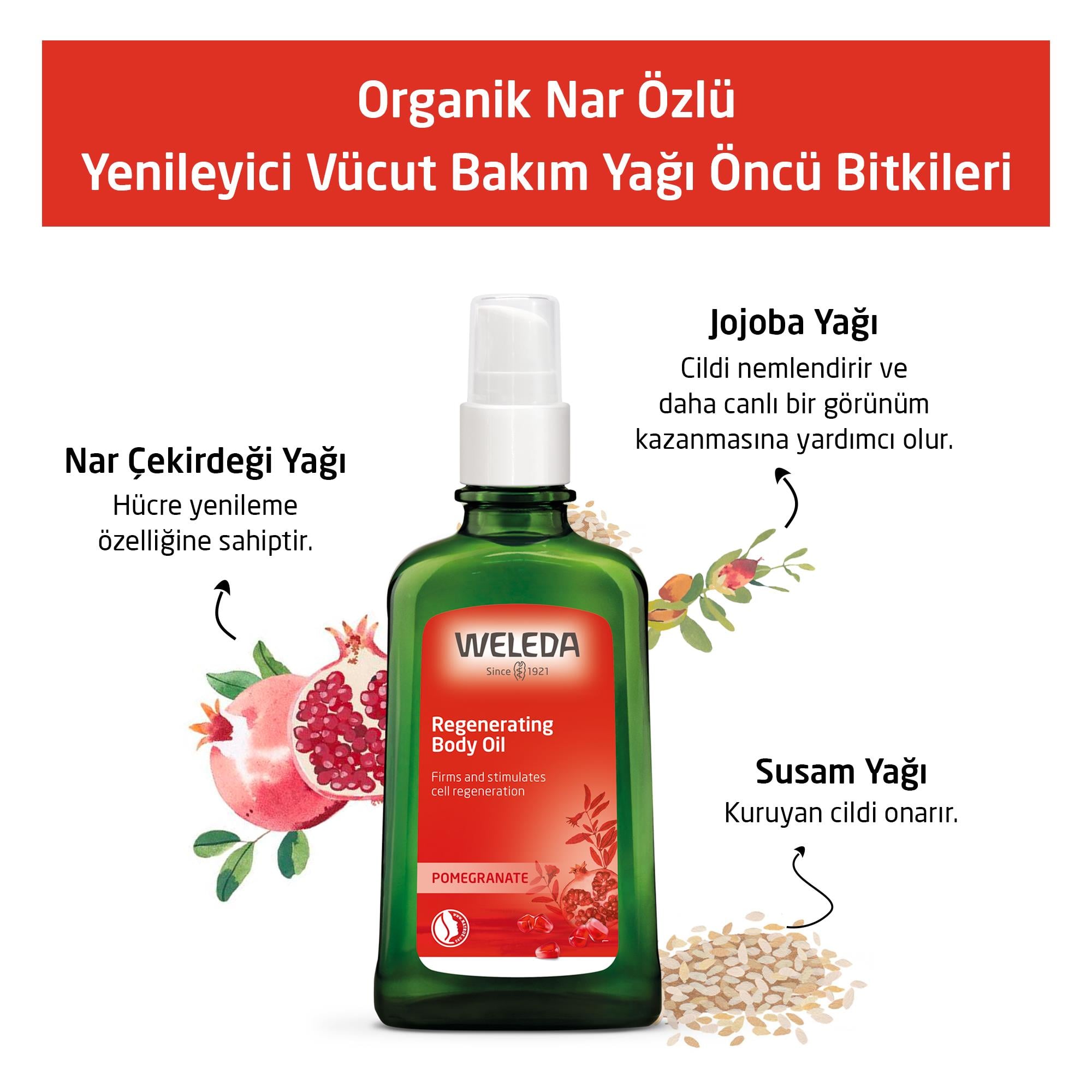 Weleda Granatapfel Regenerations-Öl Narlı 