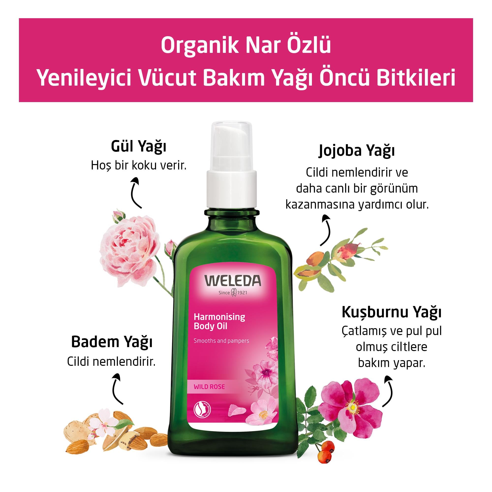 Weleda Wildrose Pfelege-Öl Bakım Yağı