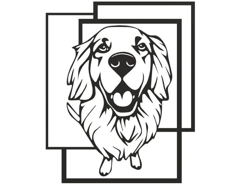  Odi3d Golden retriver Duvar Süsü