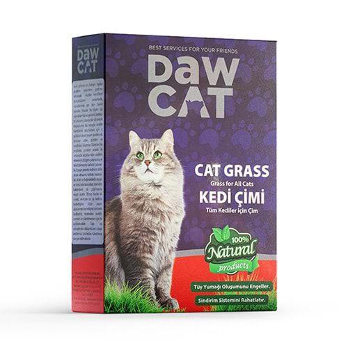 Daw Cat Kedi Çimi