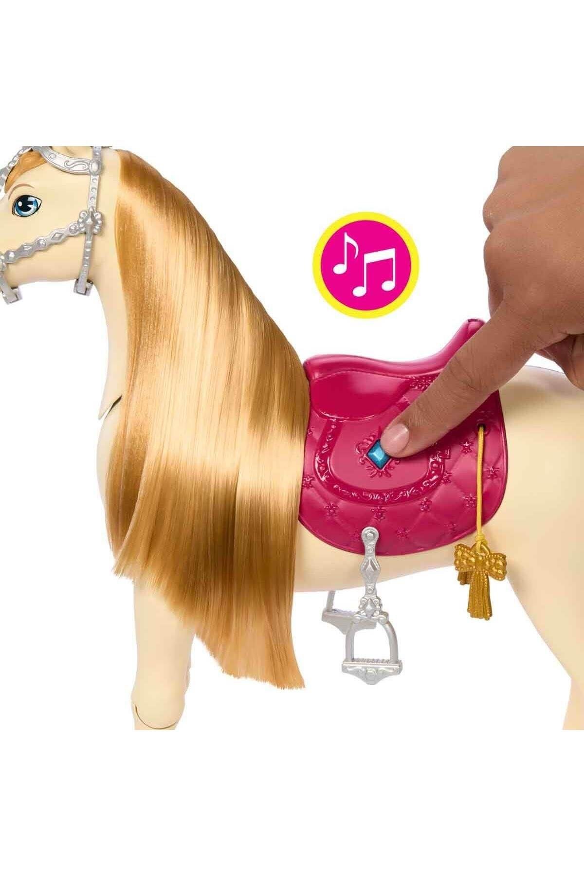 barbie-ve-dansci-ati--4844-.jpg