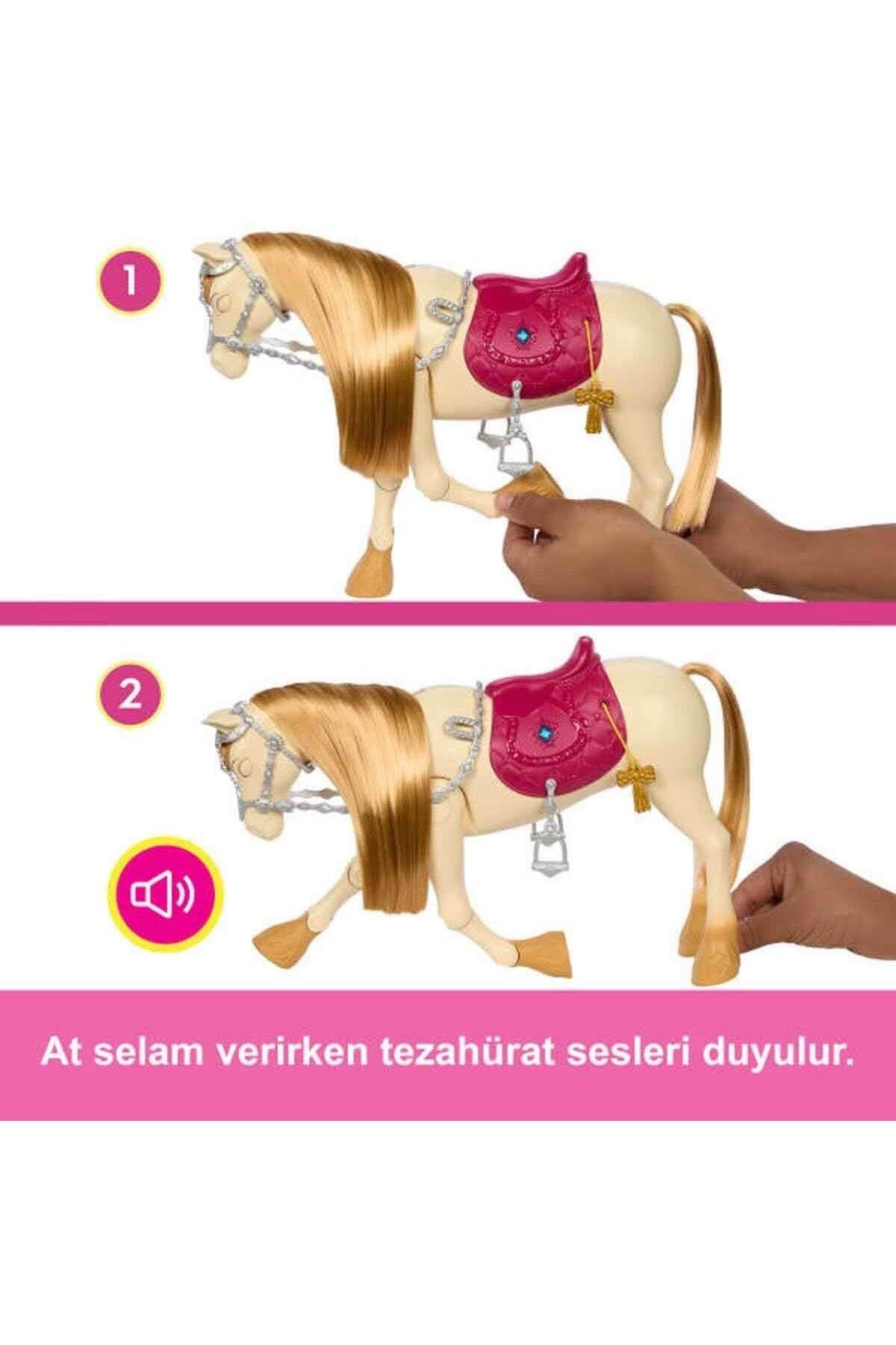 barbie-ve-dansci-ati-f2e-4f.jpg