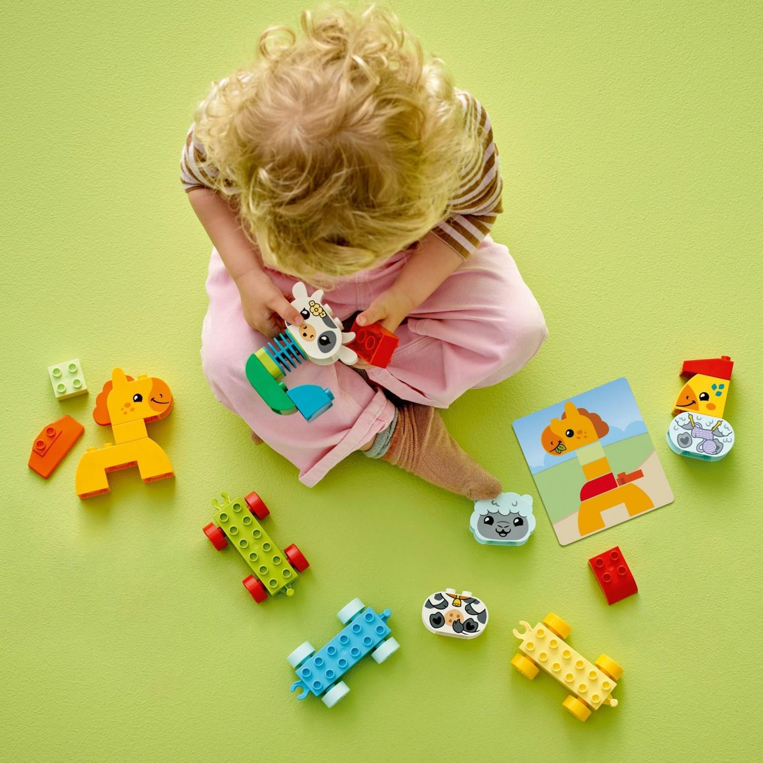 lego-duplo-ilk-hayvan-trenim-10412-1-b-1f4d7-.jpg