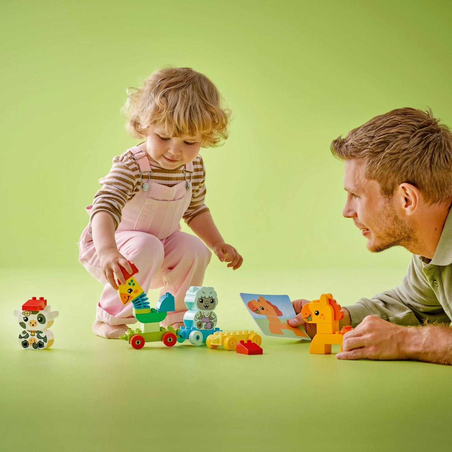 lego-duplo-ilk-hayvan-trenim-10412-1-b-500-b4.jpg