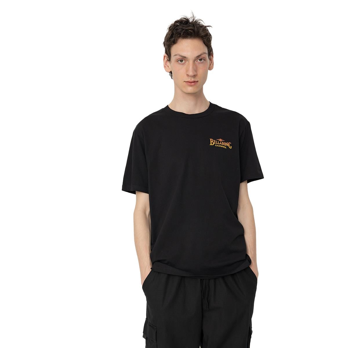 Billabong Dreamy Place Tees Erkek T-shirt