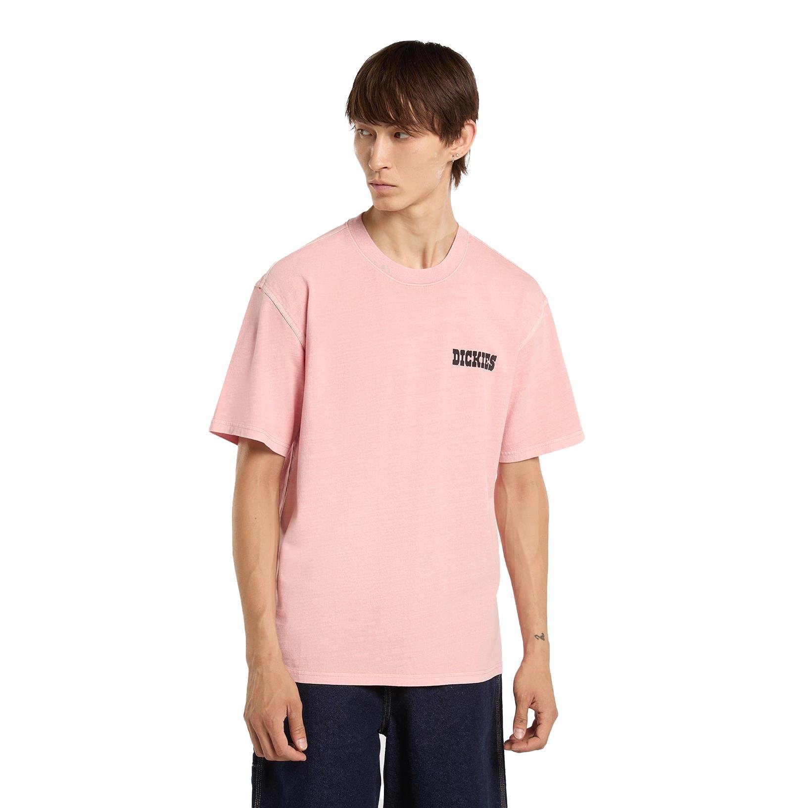 Dickies Buchtell Ss Tee T-shirt - DK0A883BL471