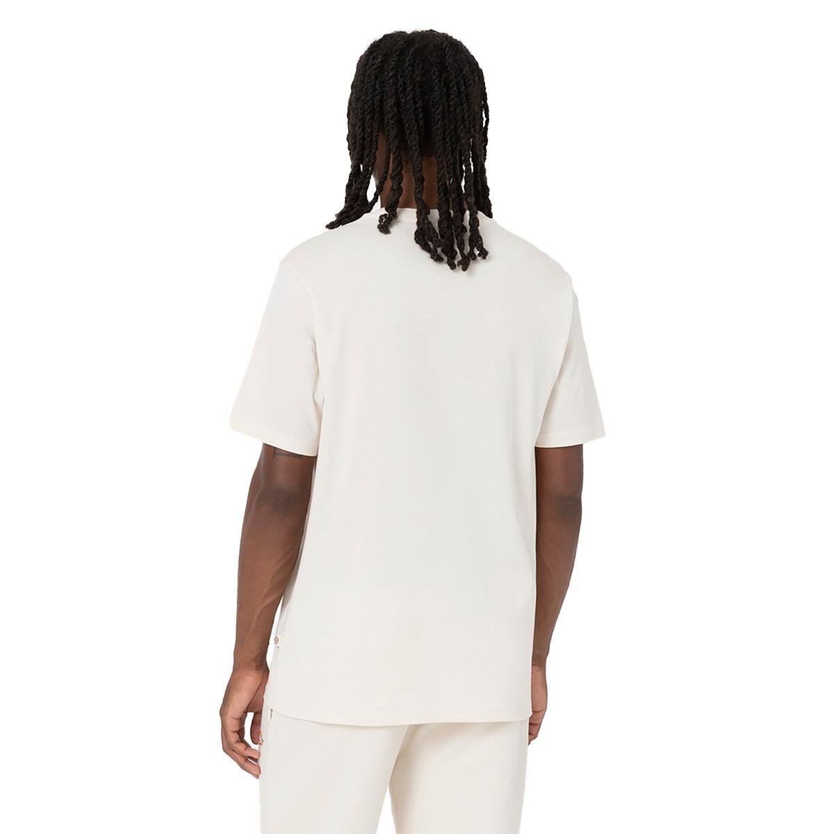 Dickies Mapleton SS Tee Erkek T-shirt - DK0A4XDBF901