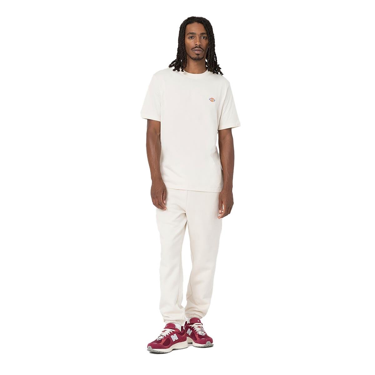 Dickies Mapleton SS Tee Erkek T-shirt - DK0A4XDBF901