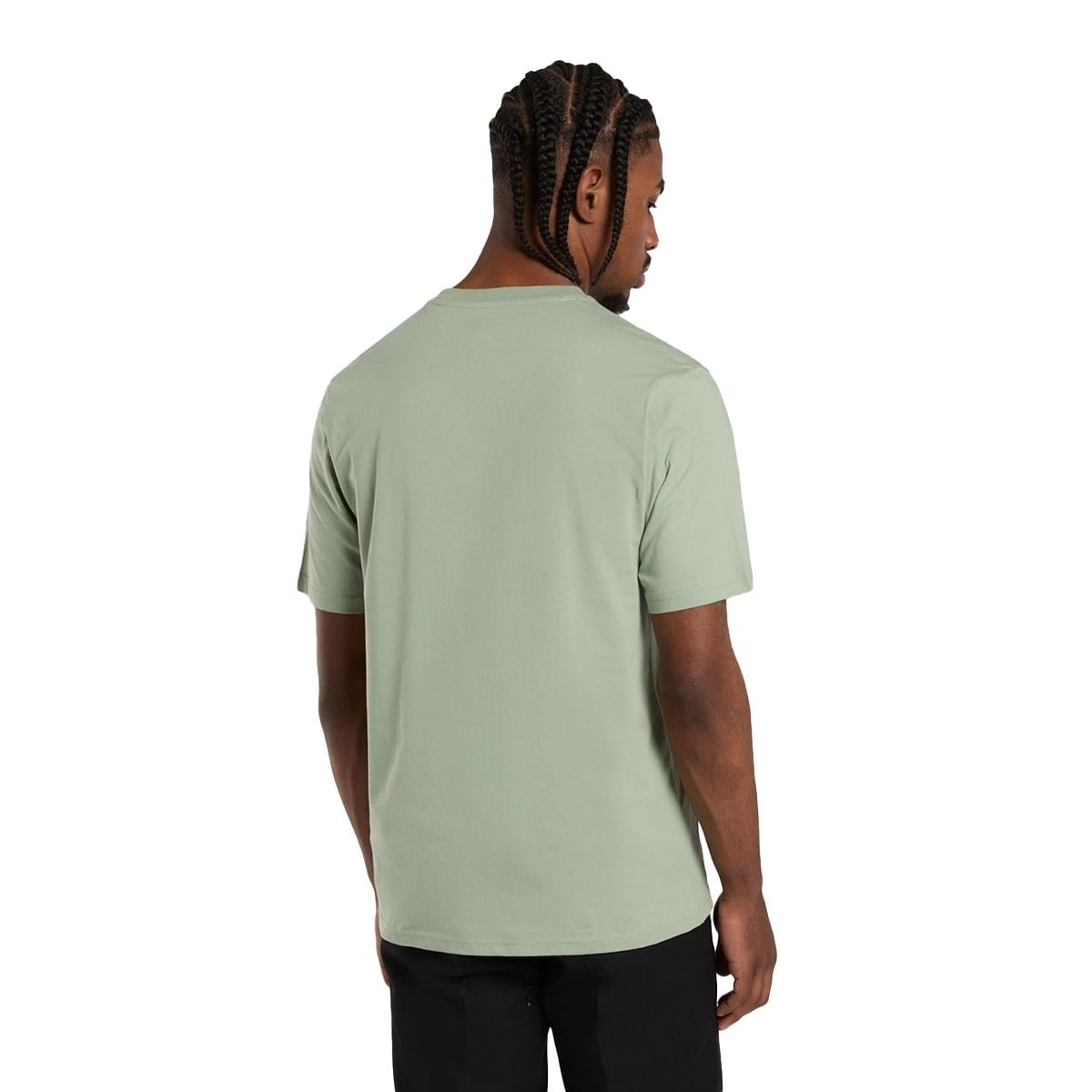 Dickies Mapleton Ss Tee T-shirt - DK0A4XDBK361