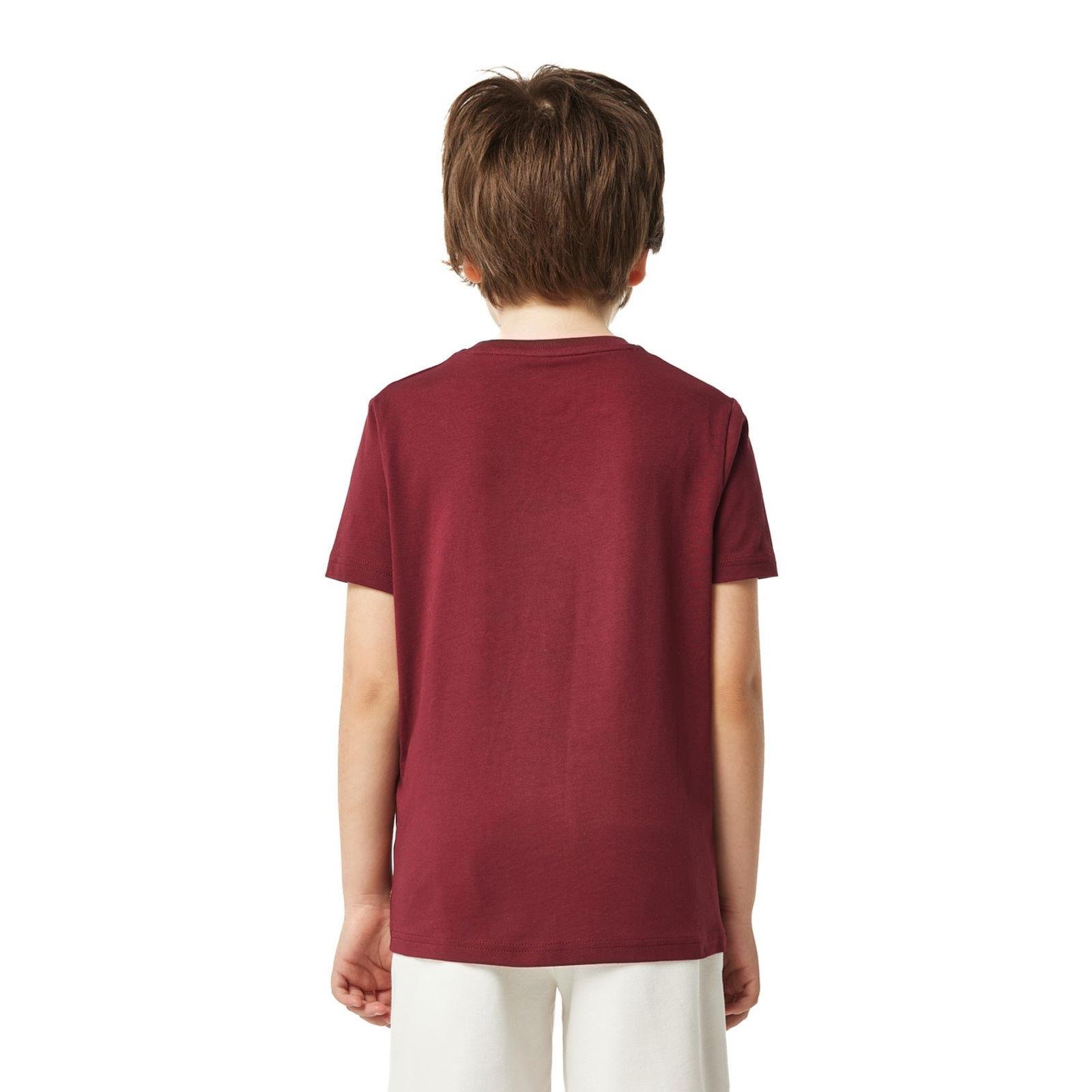 Galatasaray Çocuk T-Shirt - C251047