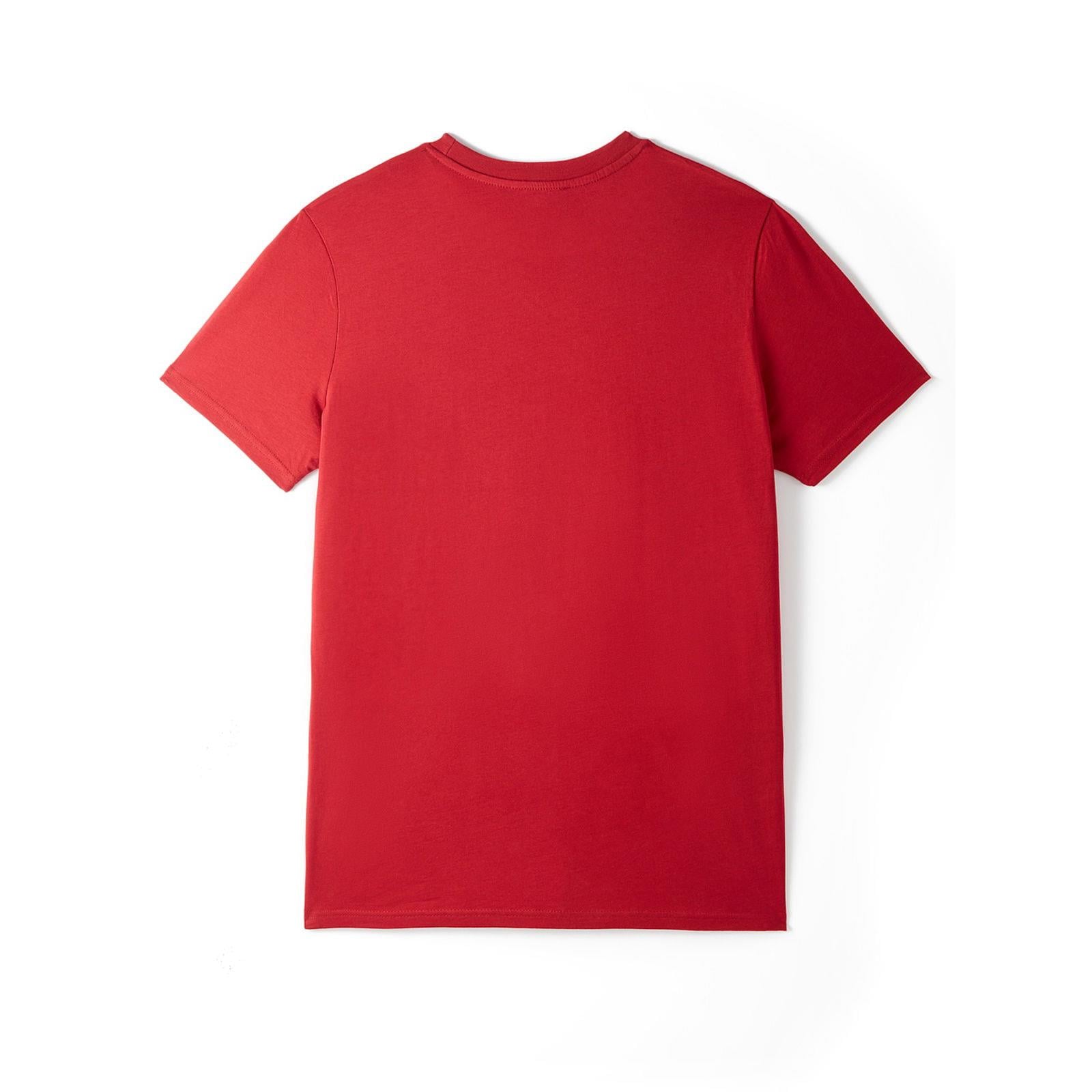 Galatasaray Parçalı 5 Yıldız T-Shirt - E251354