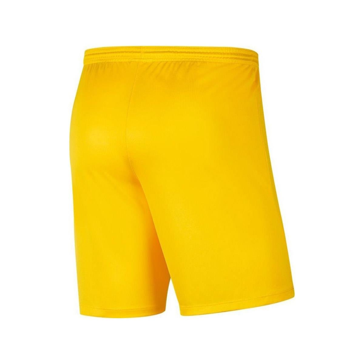 Nike M Nk Dry Park Iıı Short NB K Erkek Şort