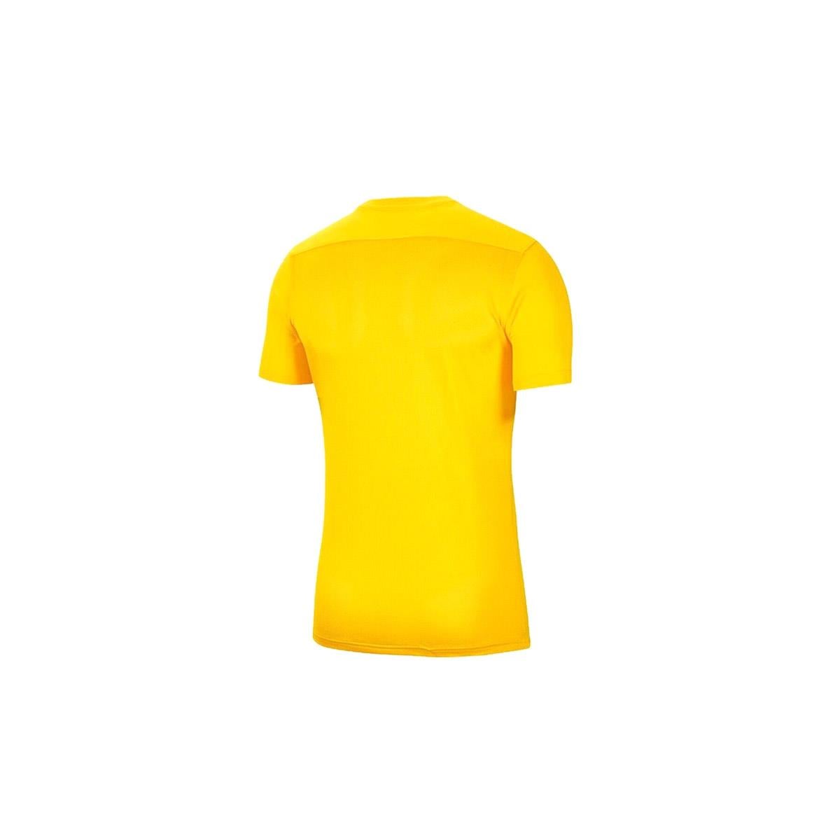Nike M Nk Dry Park Vıı Jsy Ss Erkek T-shirt