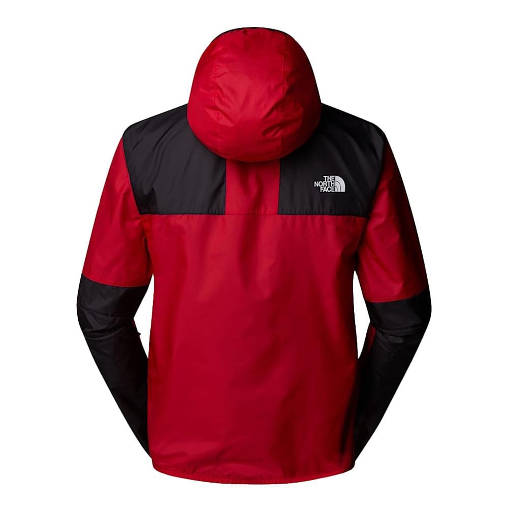 The North Face Seasonal Mountain Erkek Ceket