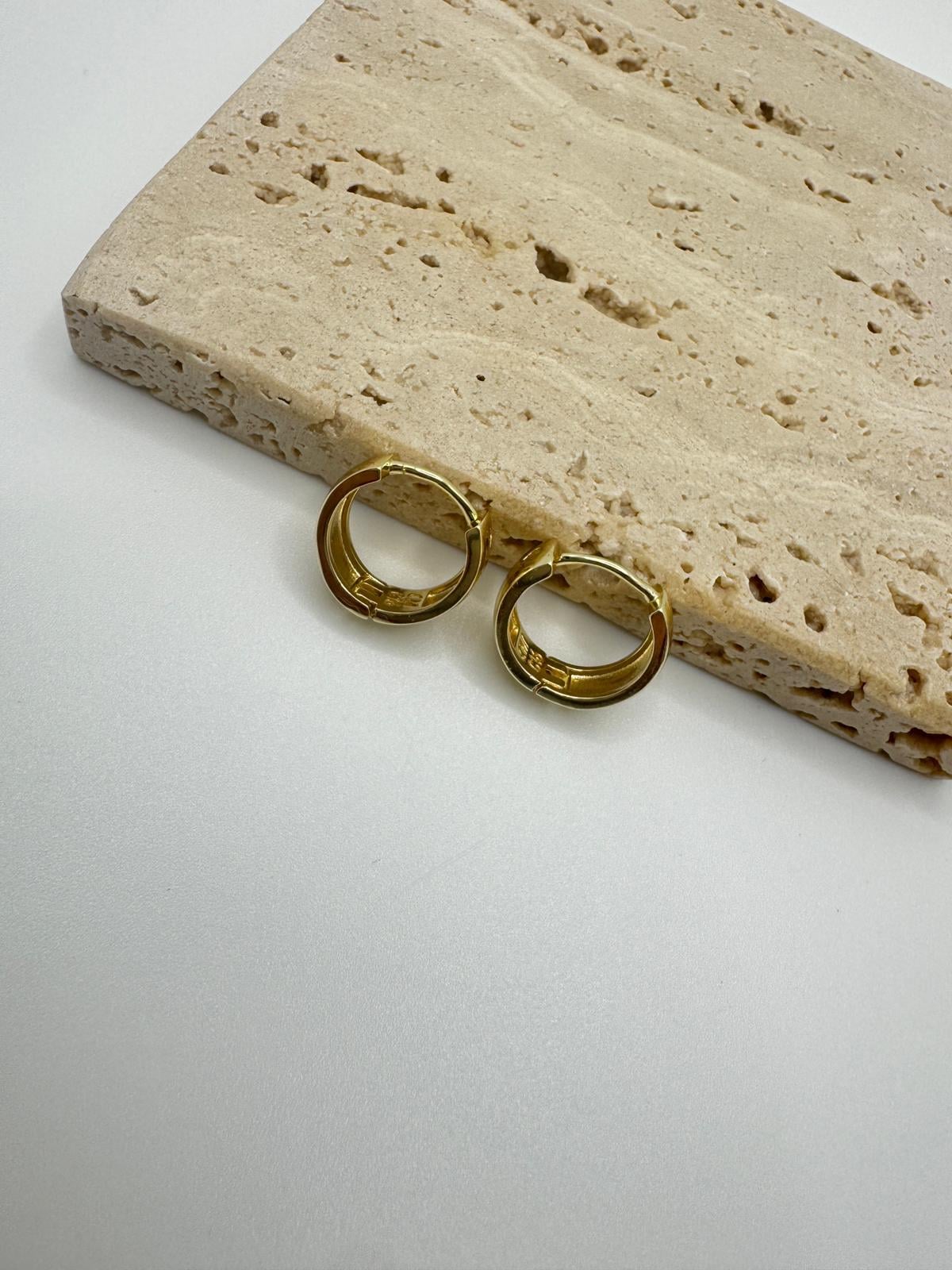 Özel Seri 14k Taşlı Mini Halka Küpe