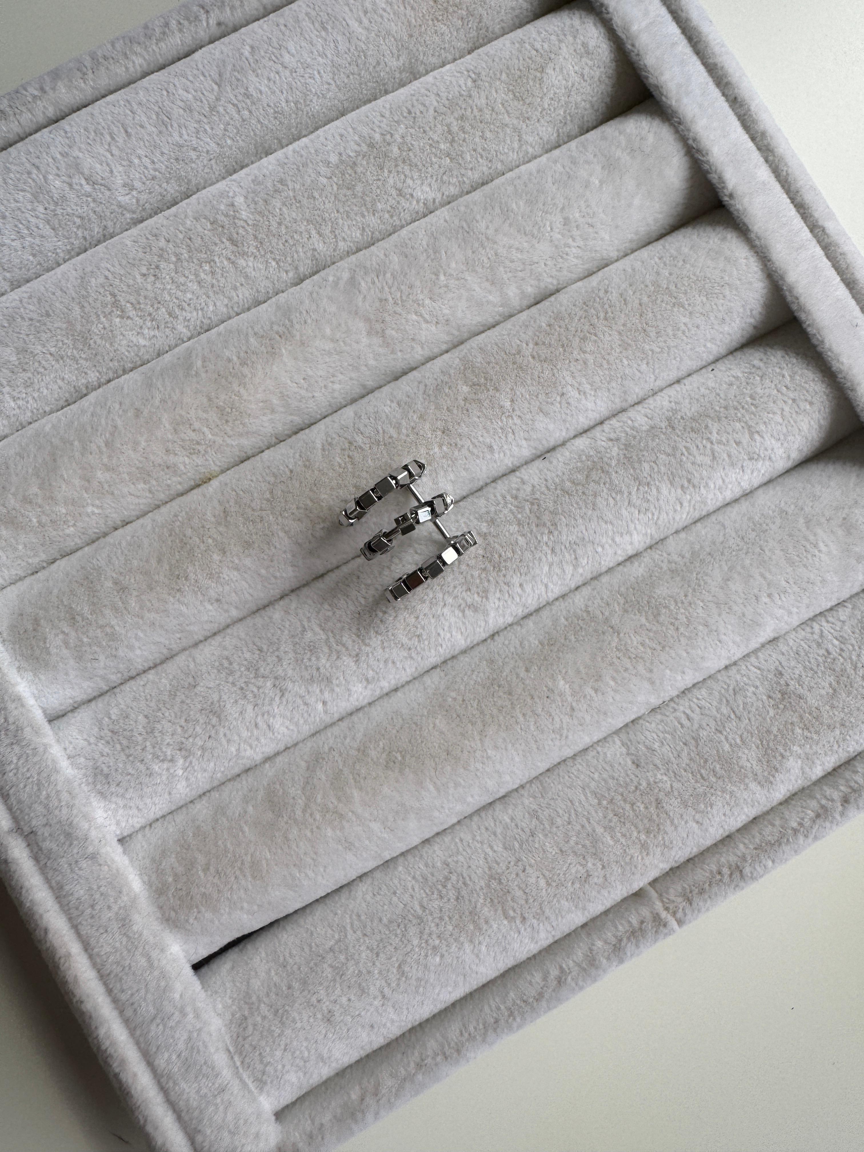 Silver Taşlı Kıkırdak Küpe