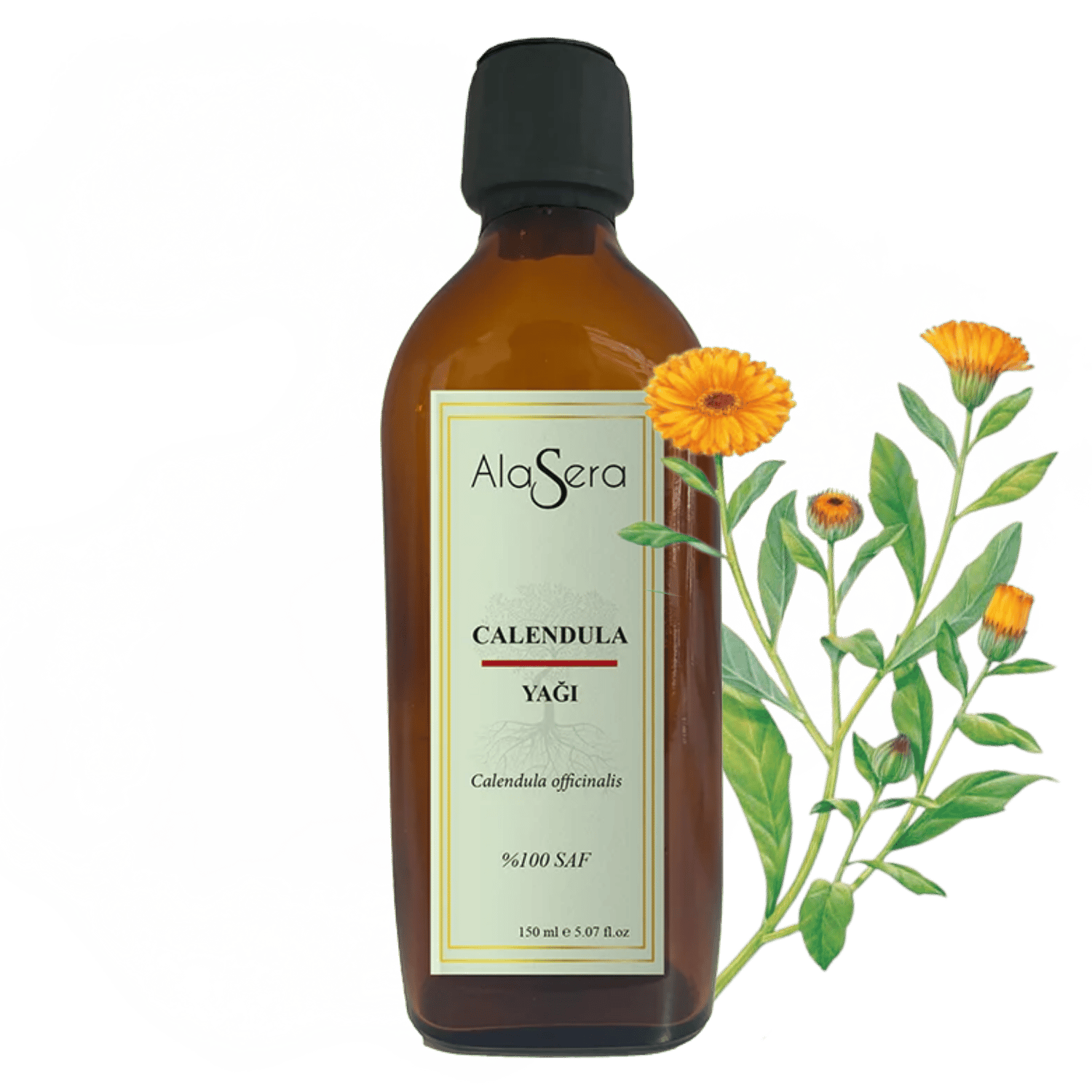 ALASERA CALENDULA YAĞI 150 ML