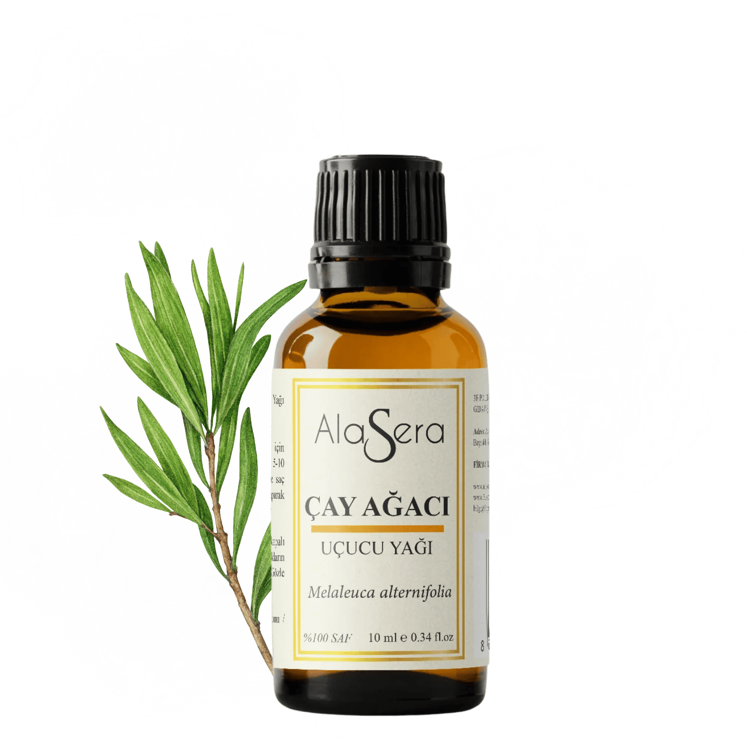 ALASERA ÇAY AĞACI 10 ML