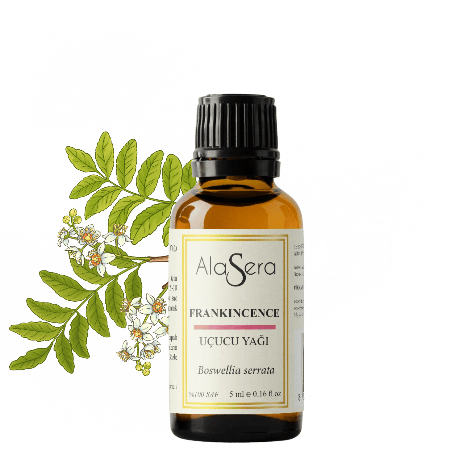 ALASERA FRANKİNCENCE 5 ML