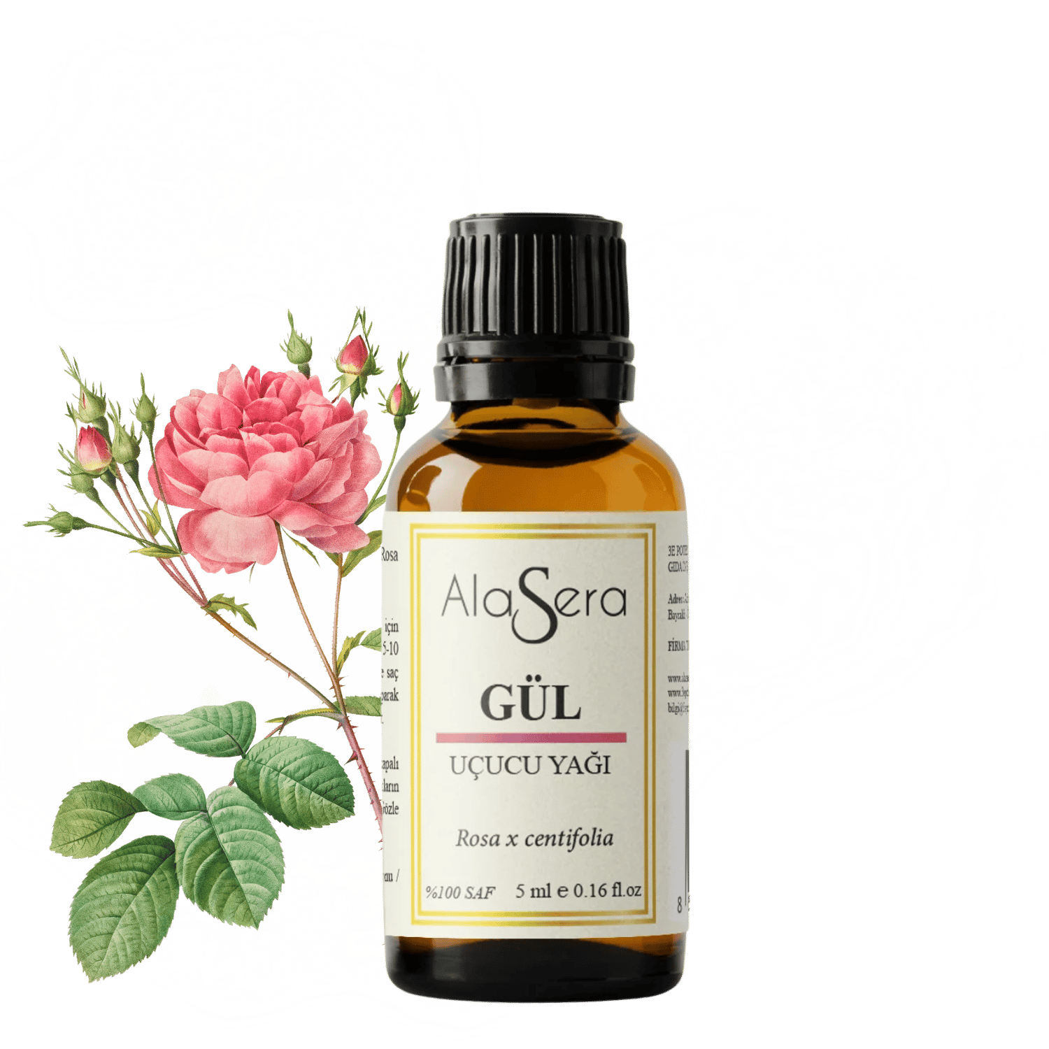 ALASERA GÜL YAĞI (ROSA X CENTİFOLİA) 5 ML