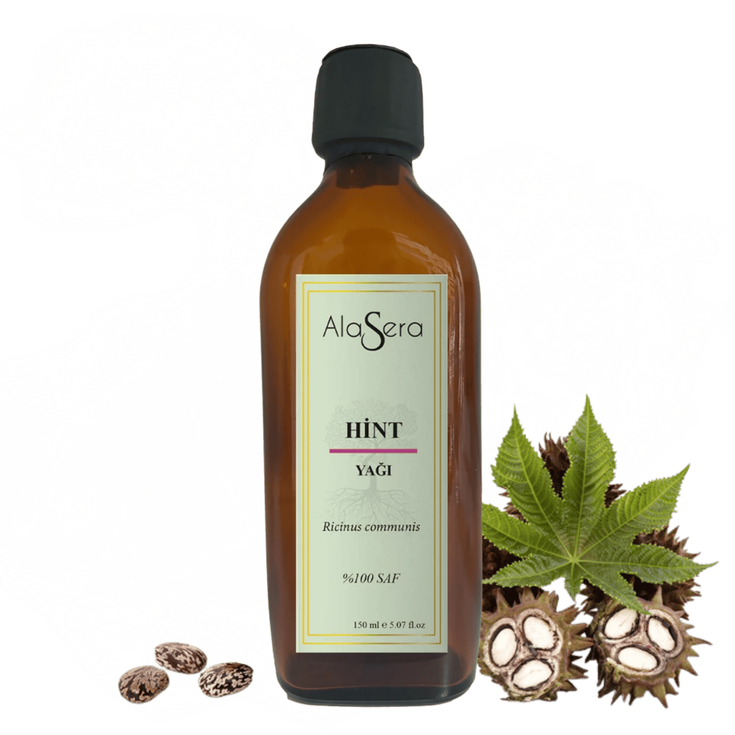 ALASERA HİNT YAĞI 150 ML