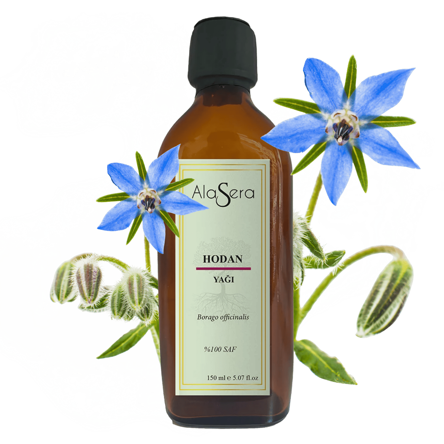 ALASERA HODAN YAĞI 150 ML