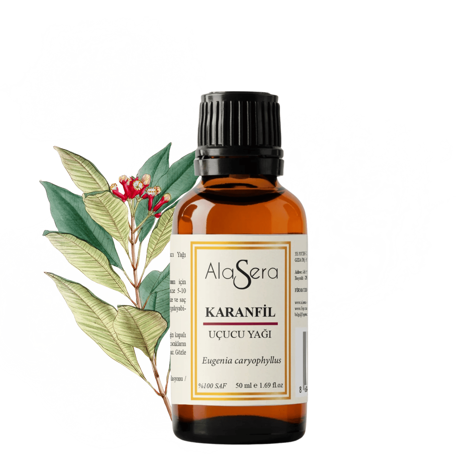 ALASERA KARANFİL 50 ML