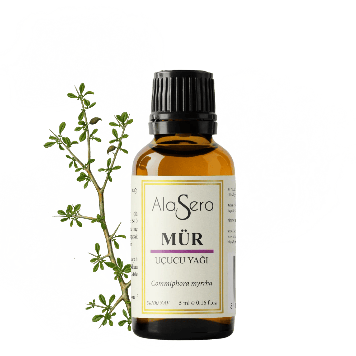 ALASERA MÜR 5 ML