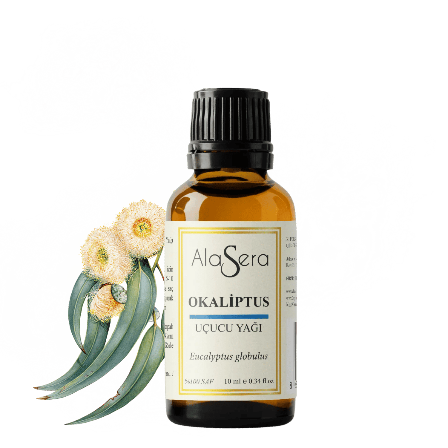ALASERA OKALİPTUS 10 ML
