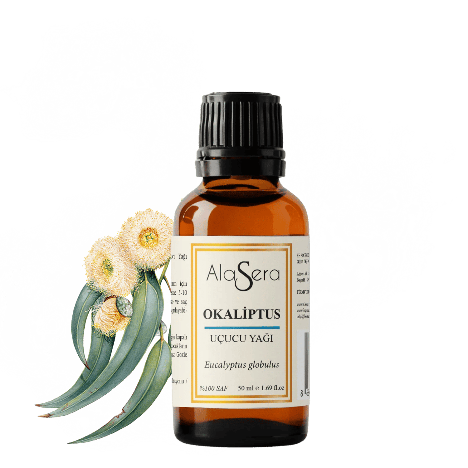 ALASERA OKALİPTUS 50 ML