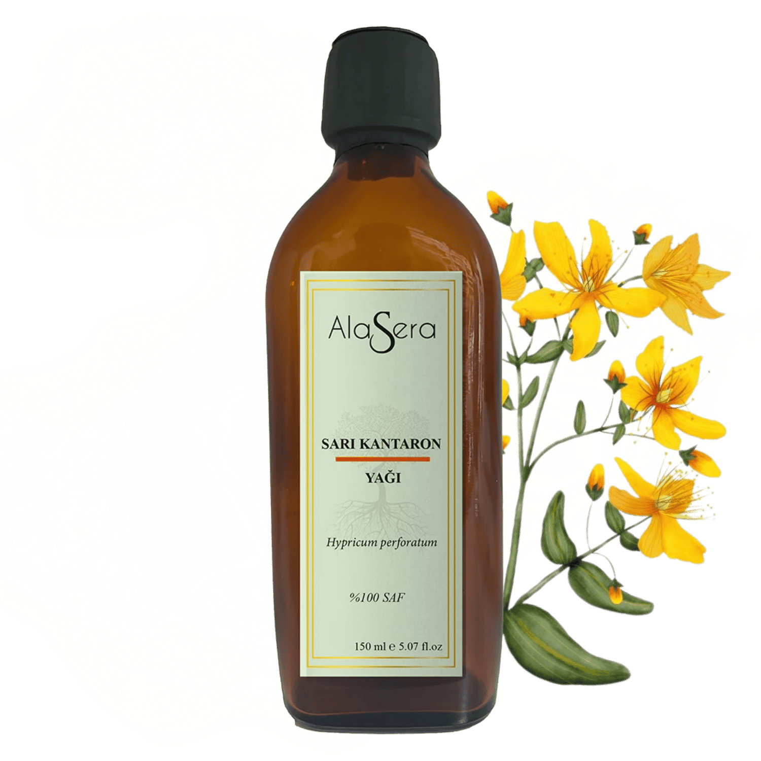 ALASERA SARI KANTARON YAĞI 150 ML
