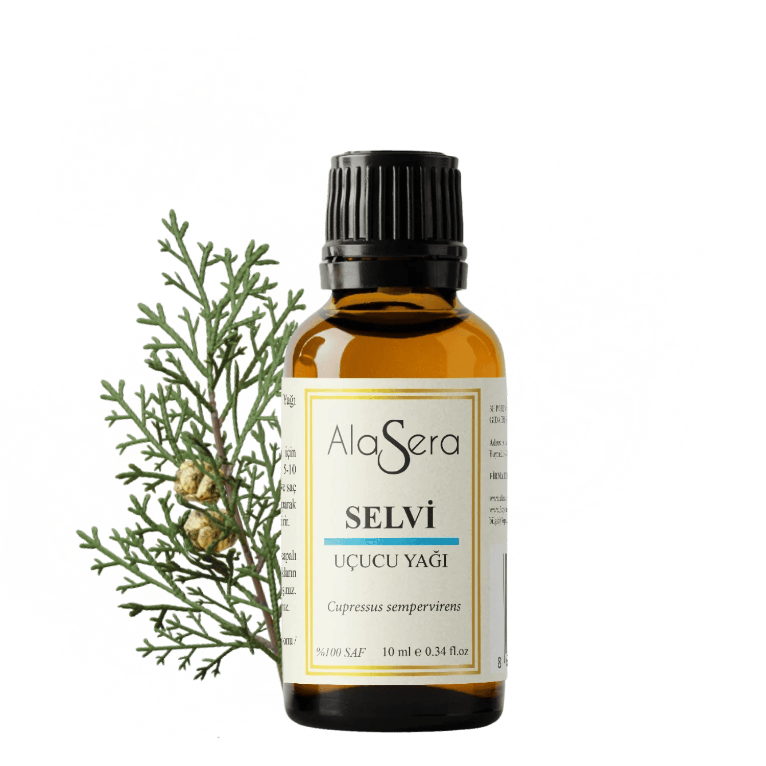 ALASERA SELVİ 10 ML