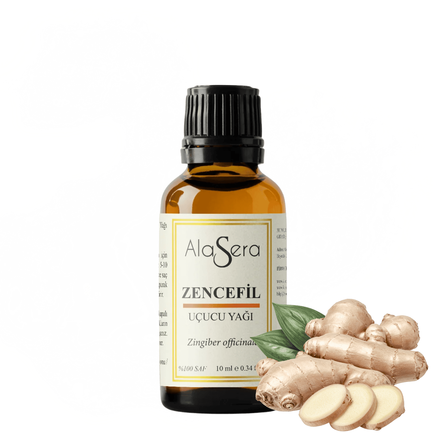 ALASERA ZENCEFİL 10 ML