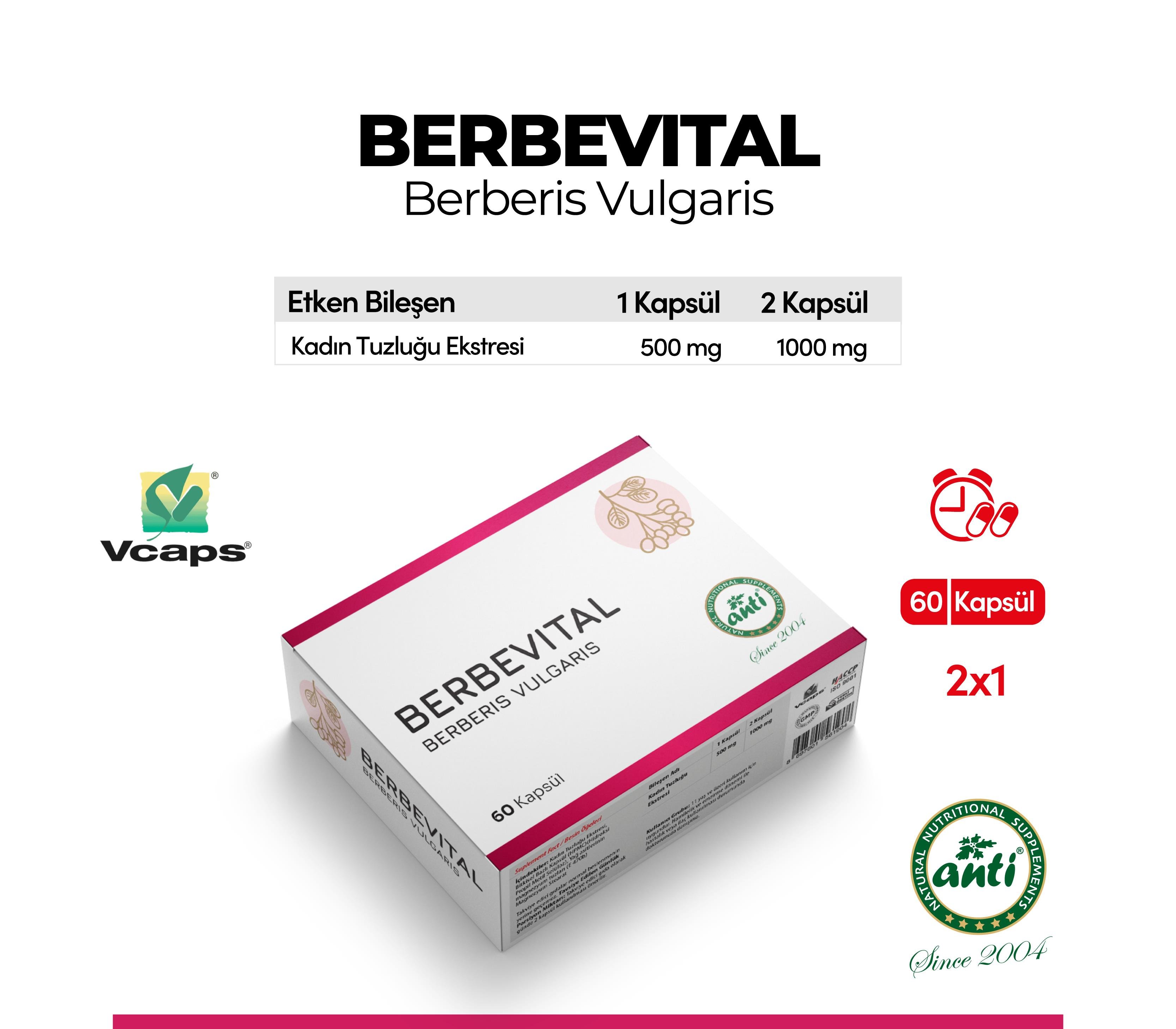 Berbevıtal