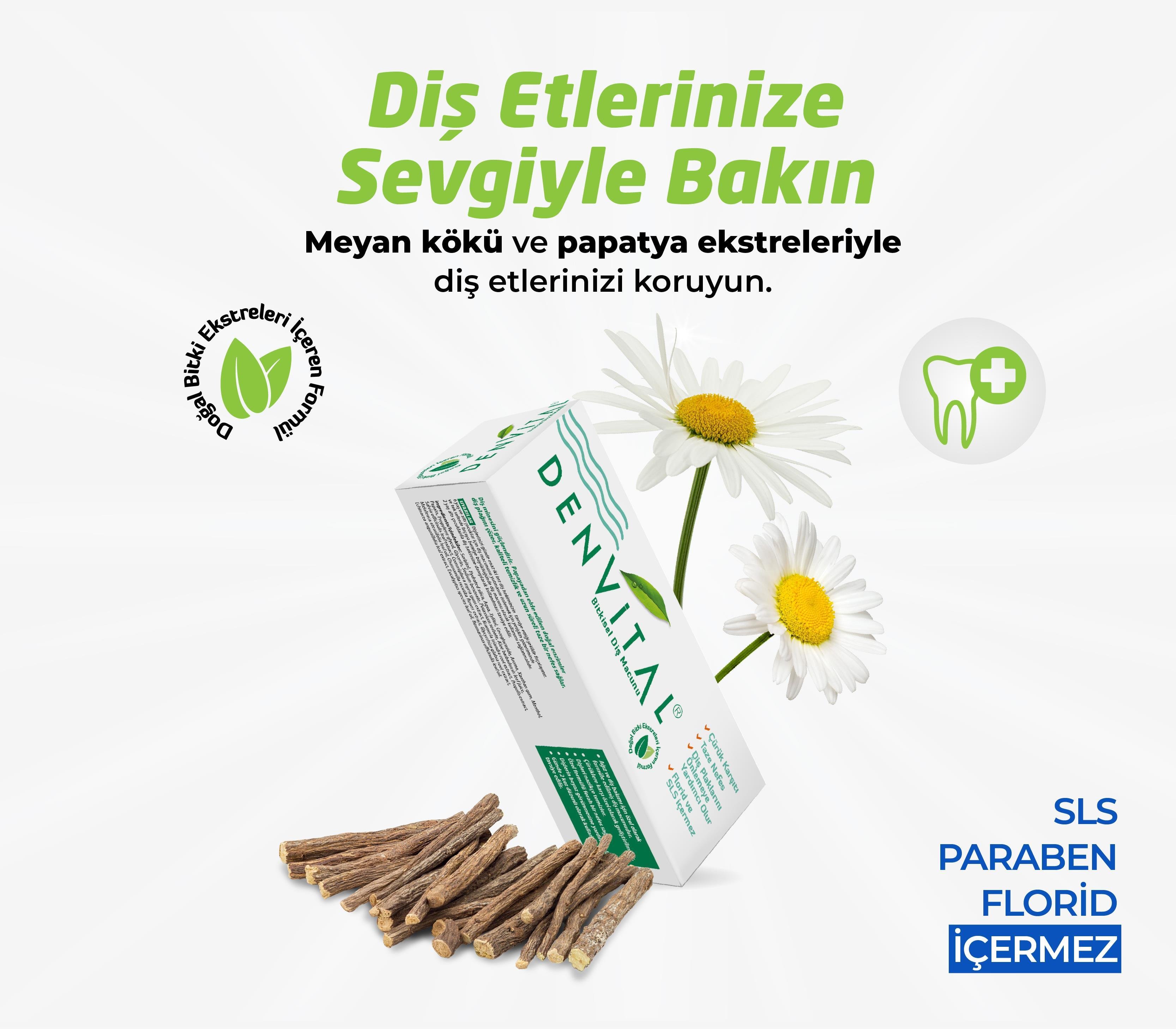 Denvital 12 Bitki Bileşeni Bitkisel Diş Macunu 75 ML