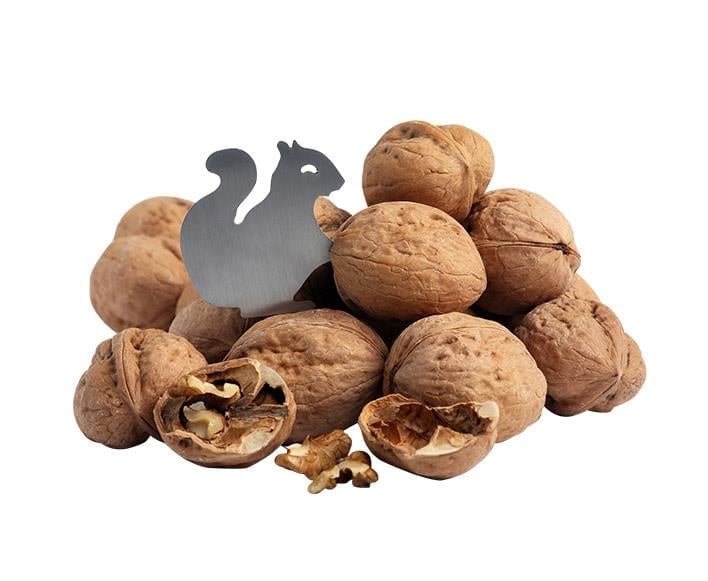 1307 Ceviz Açacağı