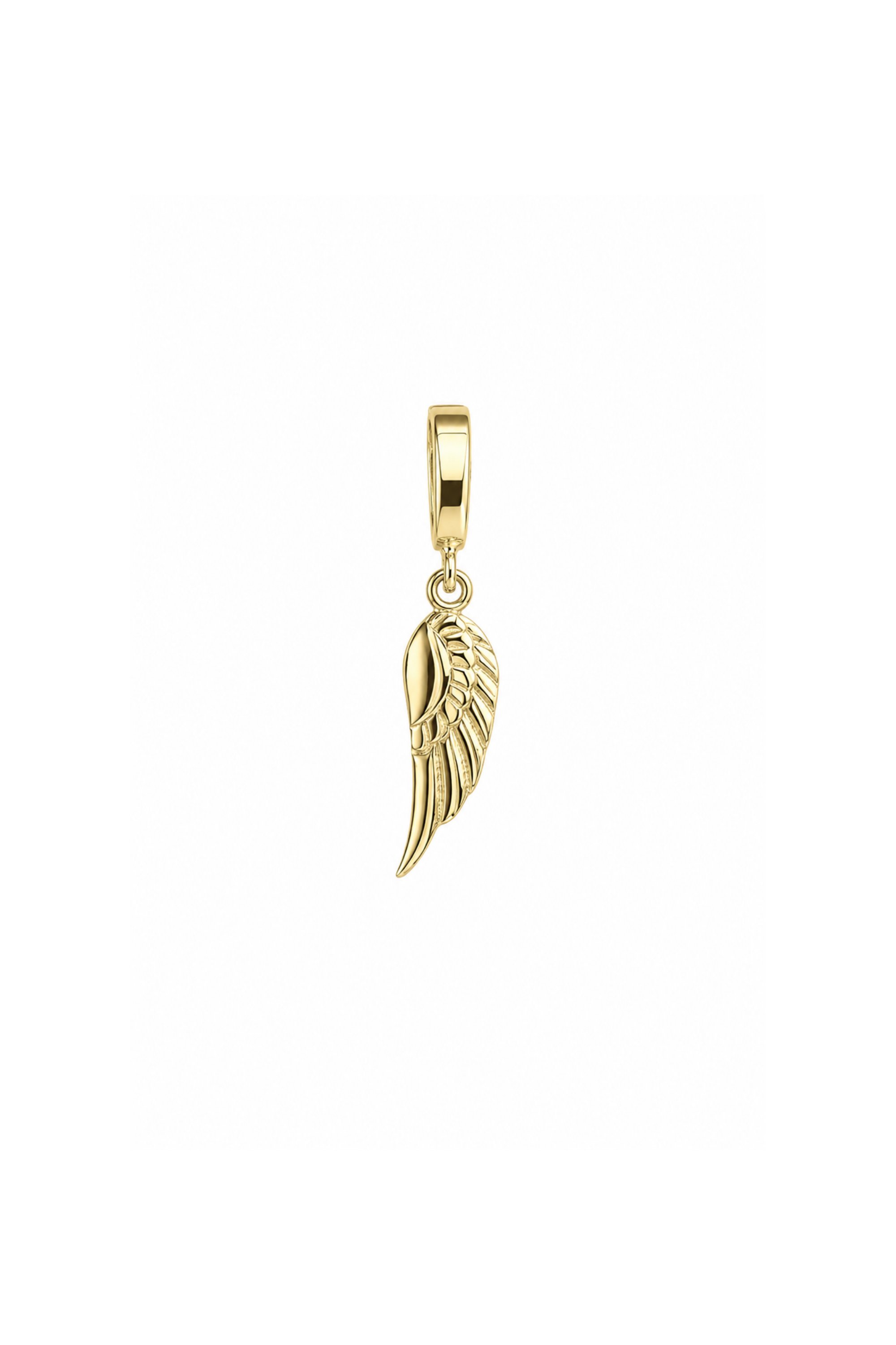 Kanat Oval Kilitli Charm Kolye Ucu
