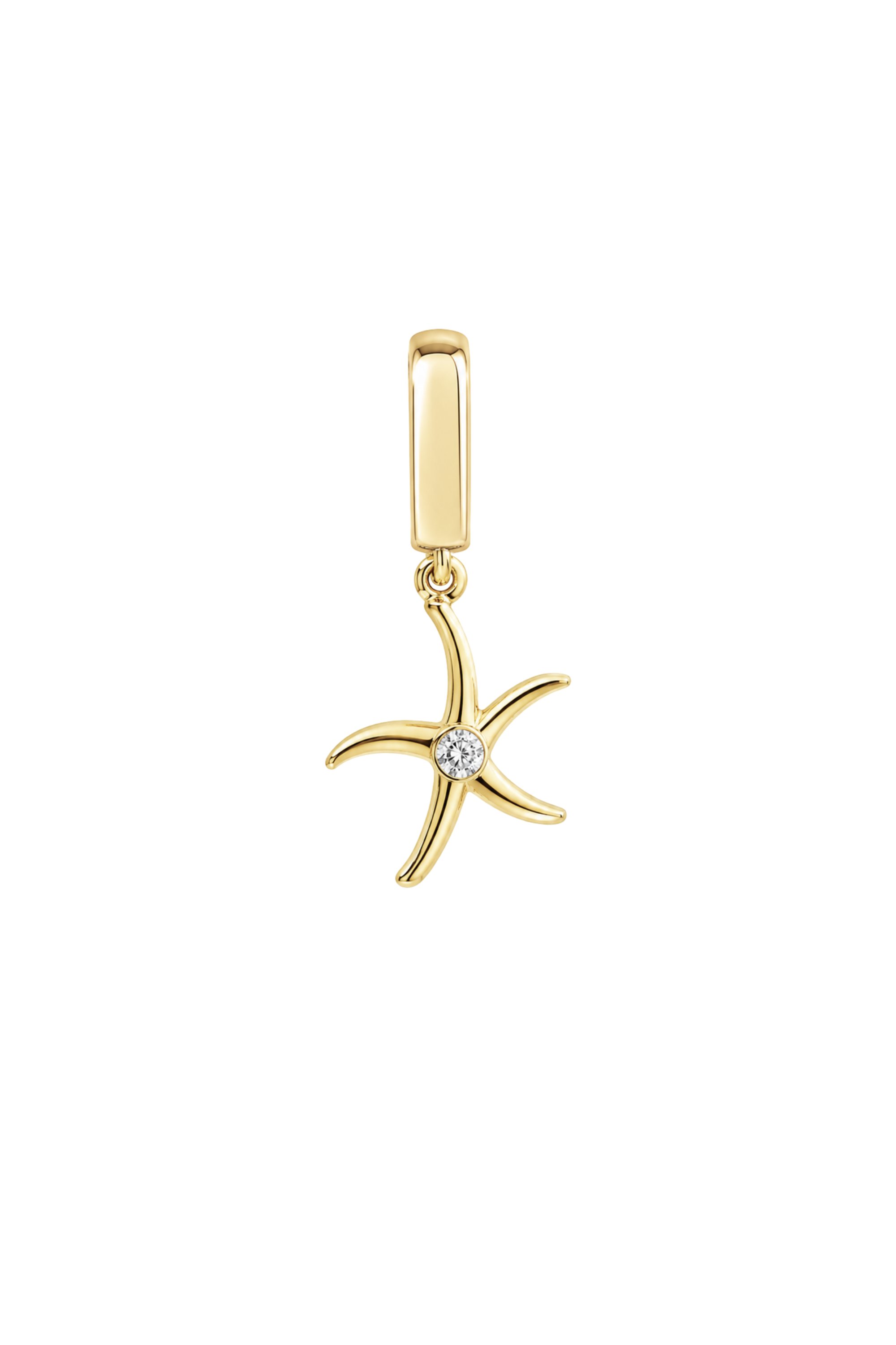 Tek Stone Yıldız Kilitli Charm Pendant