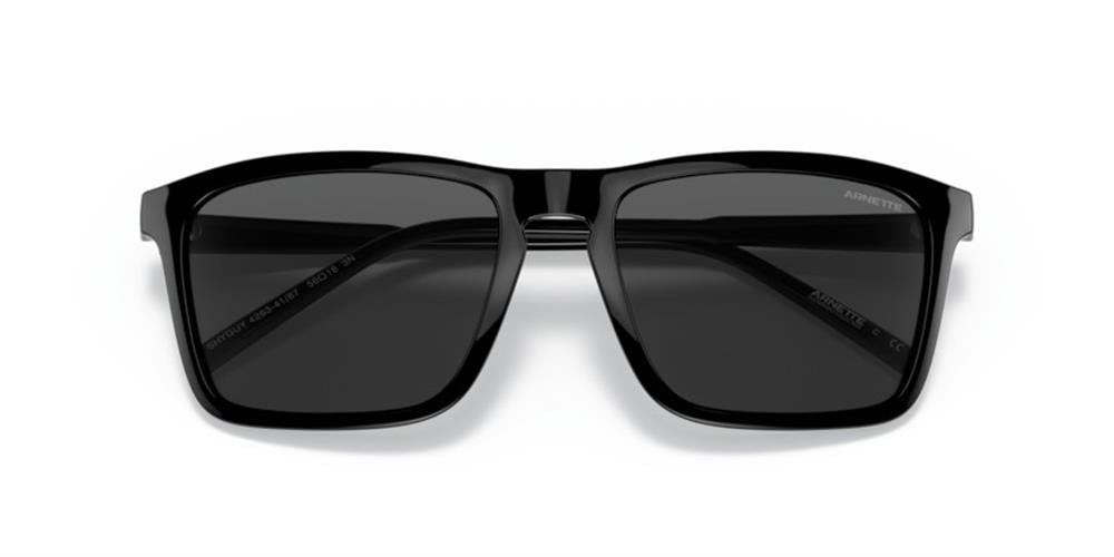 Arnette AN4283 41/87 56 Unisex Güneş Gözlüğü