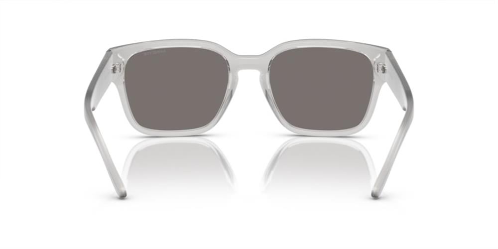 Arnette AN4325 28586G 54 Unisex Güneş Gözlüğü