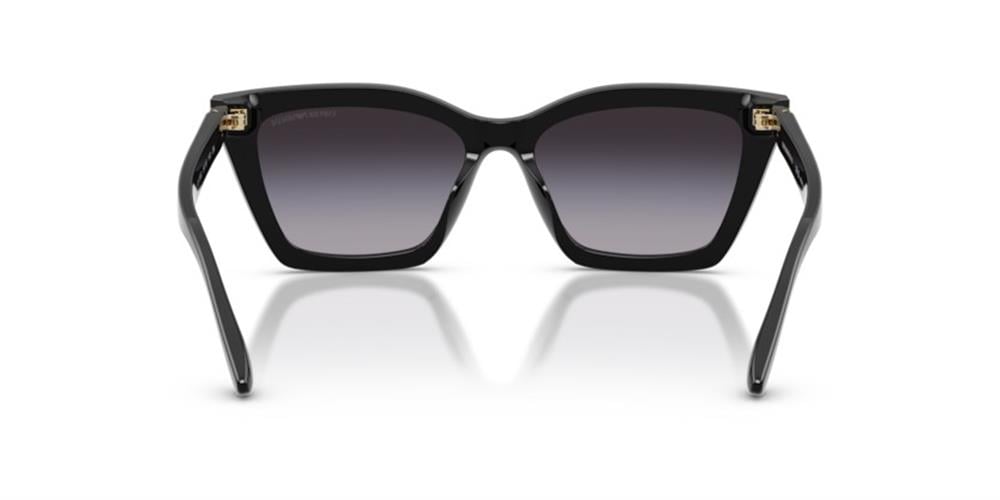 Emporio Armani 0EA4250U 50178G 54 Asetat Kadın Güneş Gözlüğü