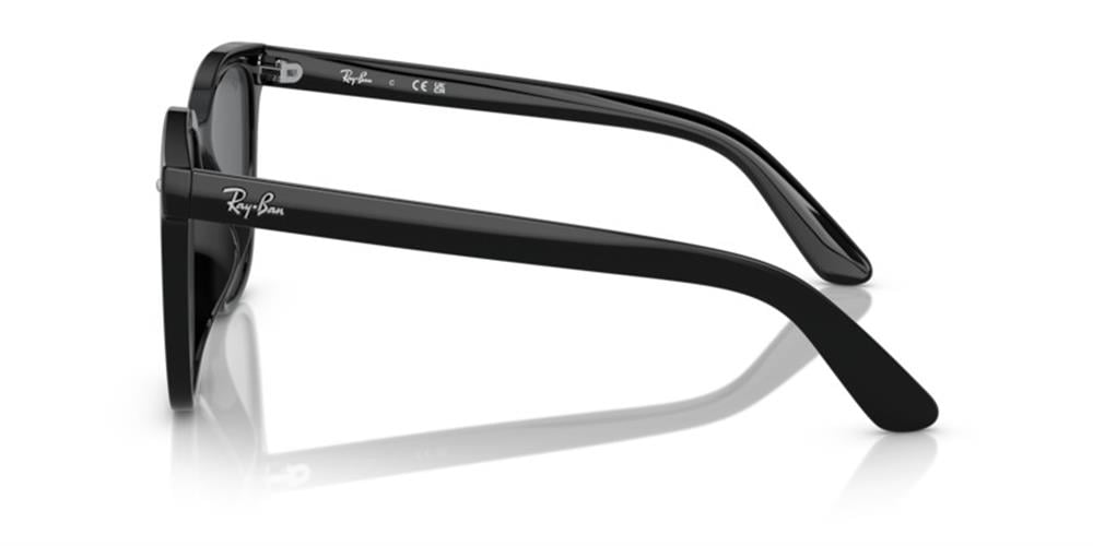 Ray-Ban 0RB4401D 601/87 55 Enjeksiyon UNISEX Güneş Gözlüğü