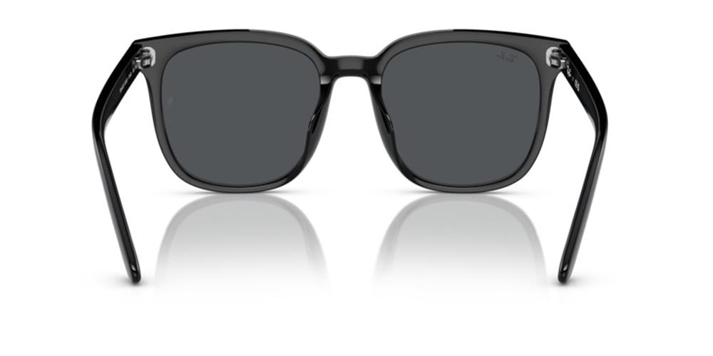 Ray-Ban 0RB4401D 601/87 55 Enjeksiyon UNISEX Güneş Gözlüğü