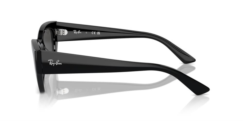 Ray-Ban 0RB4430 667787 52 Enjeksiyon UNISEX Güneş Gözlüğü