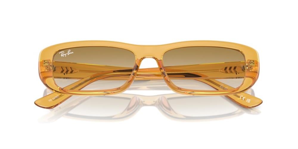 Ray-Ban 0RB4436D 668213 55 Enjeksiyon UNISEX Güneş Gözlüğü