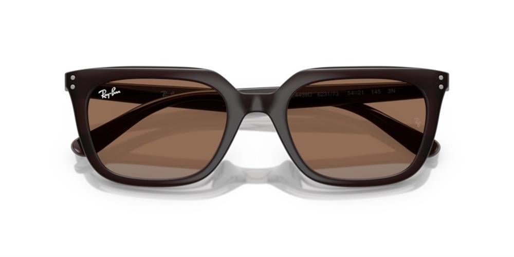Ray-Ban 0RB4439D 623173 54 PROPİONAT UNISEX Güneş Gözlüğü